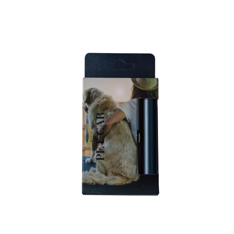 ��Ʈ�� ��ǳ�� ������